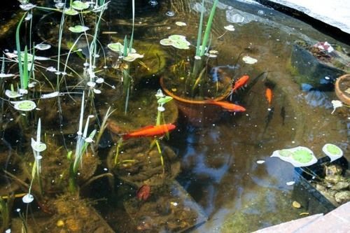 Alexandria House Bed & Breakfast West Kelowna Bagian luar foto