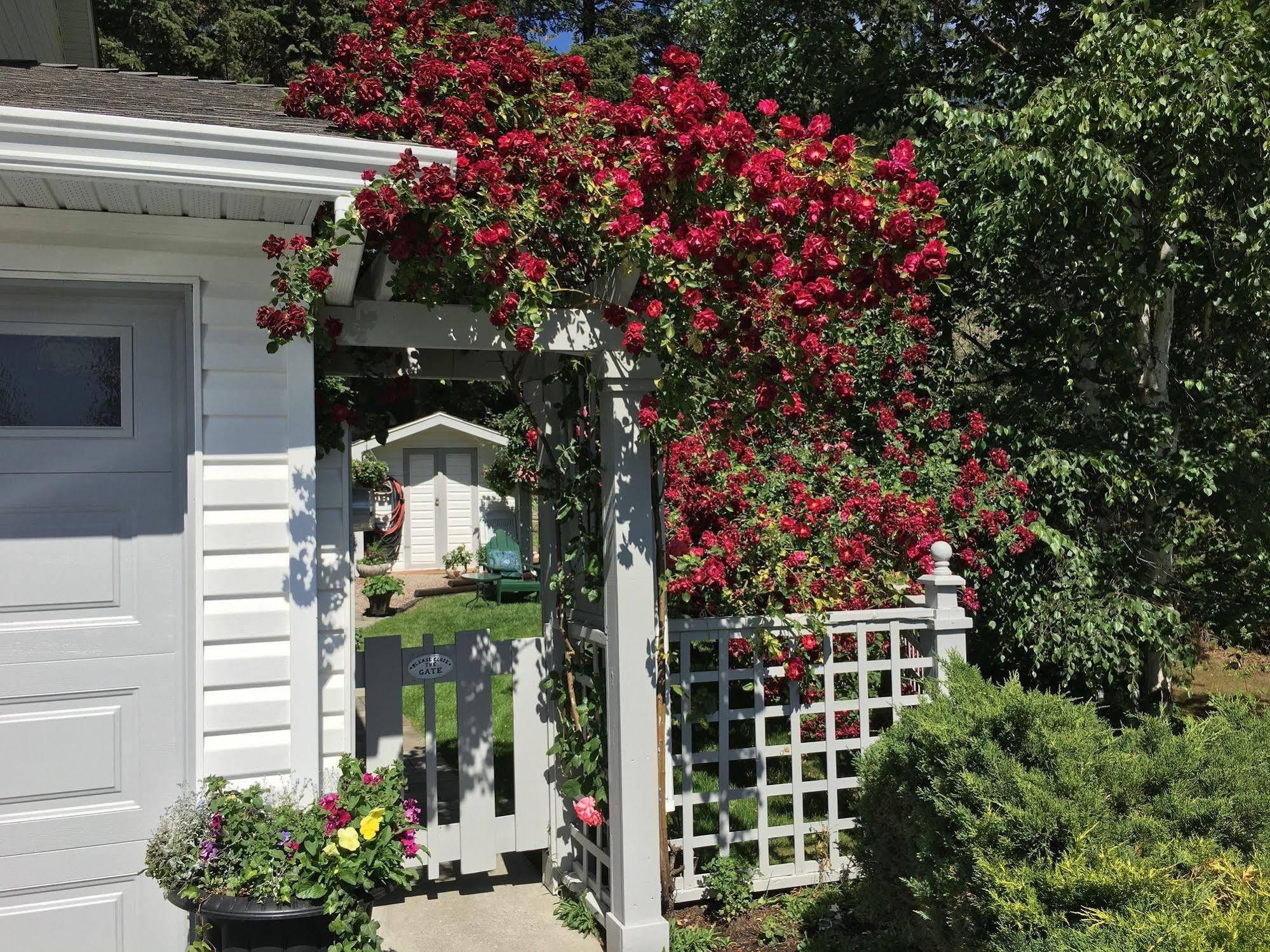Alexandria House Bed & Breakfast West Kelowna Bagian luar foto